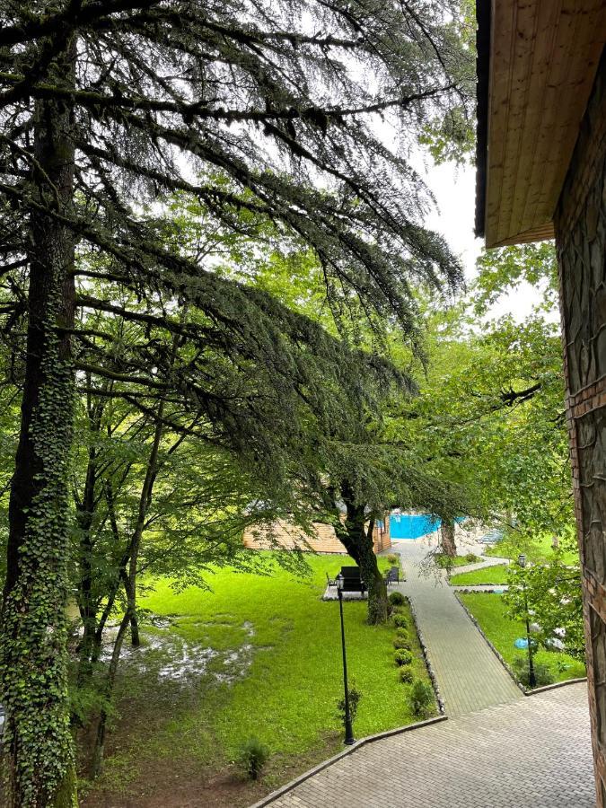 Wald Hotel Lagodehi Dış mekan fotoğraf