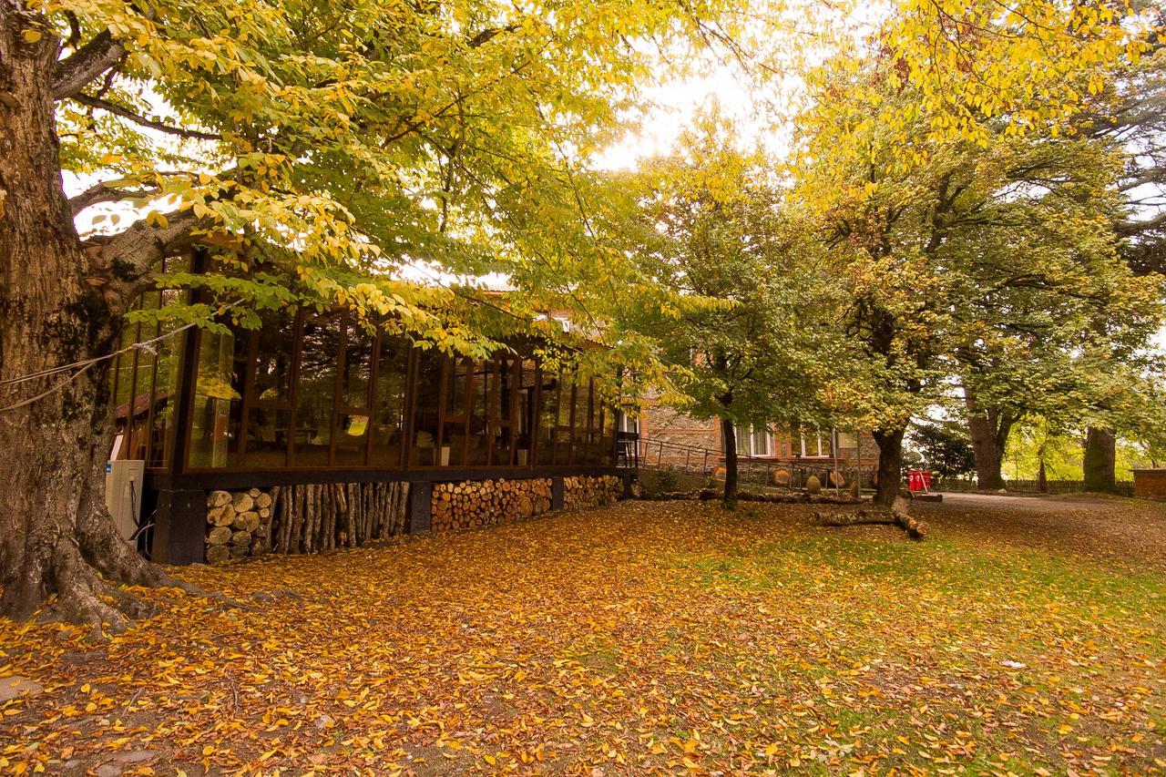 Wald Hotel Lagodehi Dış mekan fotoğraf